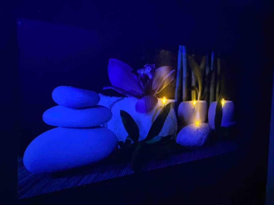 Vip Lounge Appartement Avec Jacuzzi Et Jardin Andenne Εξωτερικό φωτογραφία